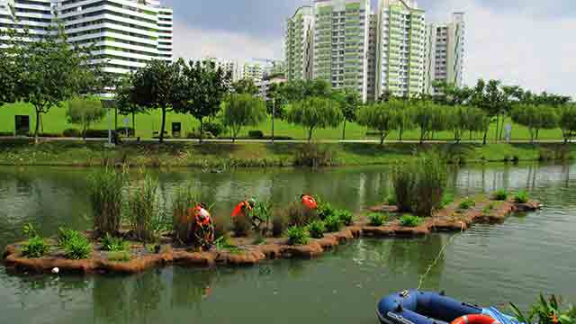 Showcase-landscape-punggol-3