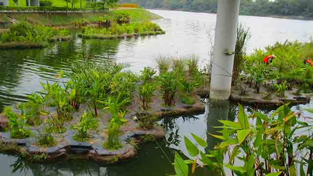 showcase-landscape-punggol-1