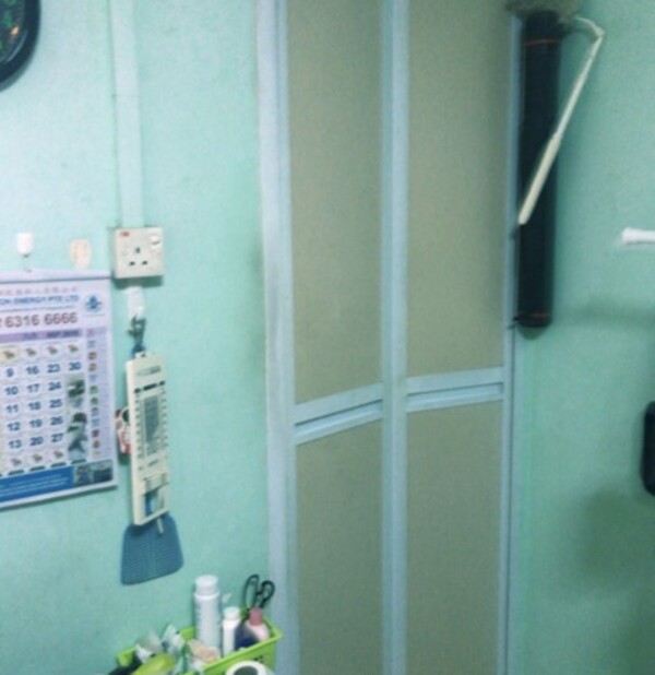HIP-Blk239 Tampines St21 (bi-fold door before replacement)