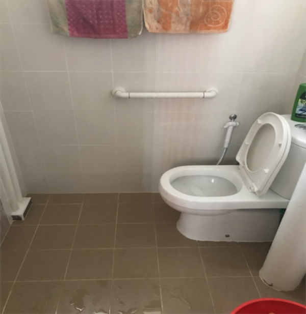 HIP-Blk239 Tampines St21 (common toilet after upgrade)