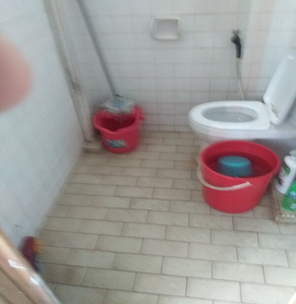 HIP-Blk239 Tampines St21 (common toilet before upgrade)