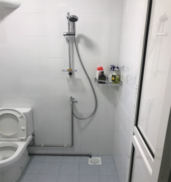 HIP-Blk239 Tampines St21 (master bedroom toilet after upgrade)