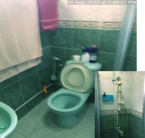 HIP-Blk239 Tampines St21 (master bedroom toilet before upgrade)